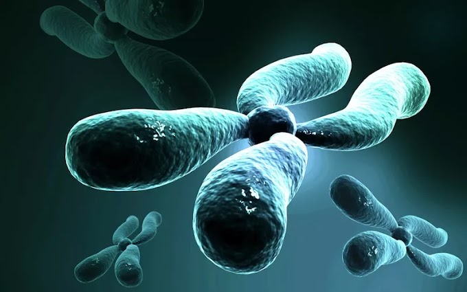 Unraveling the Human Genome: 6 Molecular Milestones