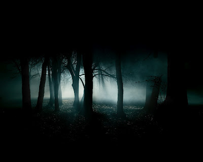 Black Forest Wallpapers