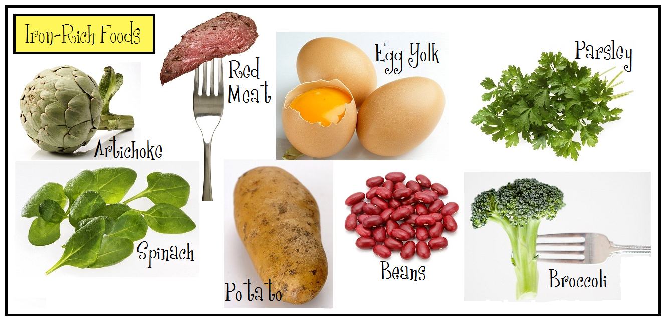 iron%2Bfoods