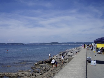 P8150539