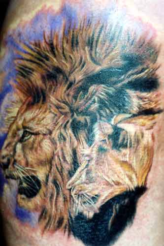 colorful tattoos on black skin. Its fur color is Grey or