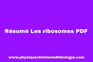 Résumé Les ribosomes PDF