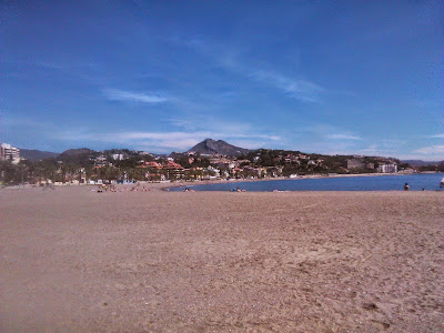 playas de malaga