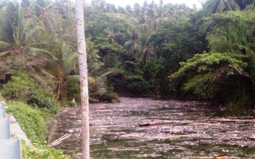 Sampah Kiriman, Kotori Muara, S.Tulang ,Selayar