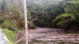 Sampah Kiriman Kotori Muara S.Tulang Selayar