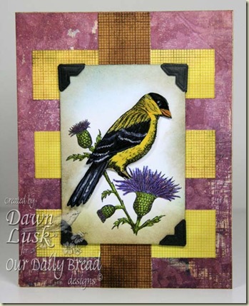 WT254 Goldfinch