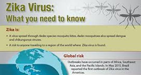 Contoh Karangan Virus Zika - How To AA