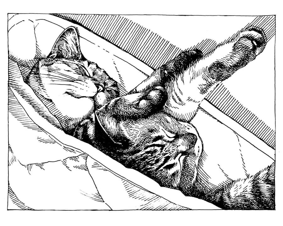 09-Sleeping-cats-Ineko-Kawai-www-designstack-co