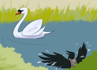 Crow and the Swan Story