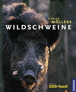 Wildschweine