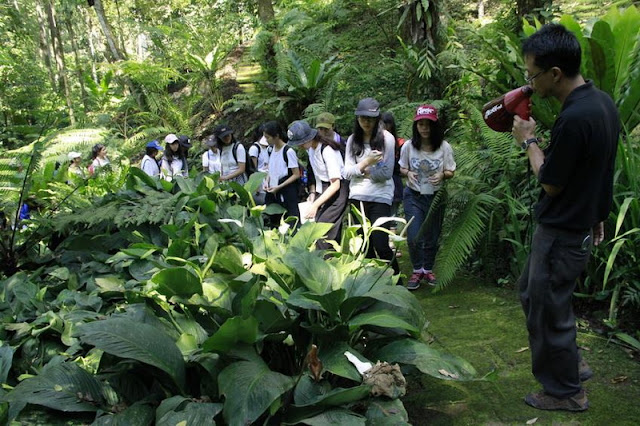 botanic garden, queen sirikit botanic garden, botanic garden chiang mai, chiang mai garden, garden in chiang mai