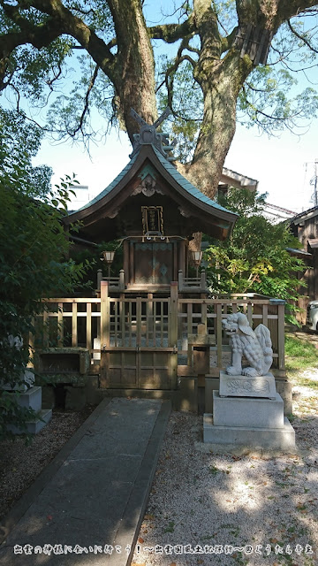 賣布神社　和田津見神社