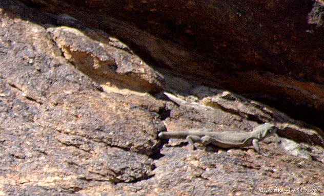 E-P1100032