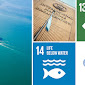 IMO Theme 2020: Sustainable Shiping for Sustainable Planet