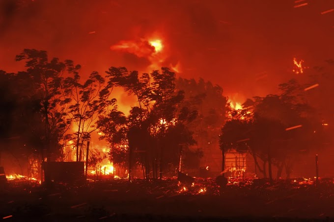 Grécia:Incêndios florestais queimam fora de controle pelo quinto dia consecutivo