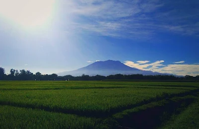 foto pemandangan gunung lawu