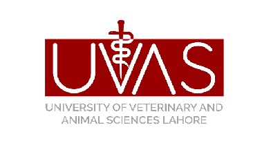 University Of Veterinary And Animal Sciences ( UVS) Lahore  Admission Open 2021 For Masters MS &  MPhil Programs