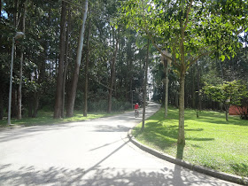 Parque do Carmo