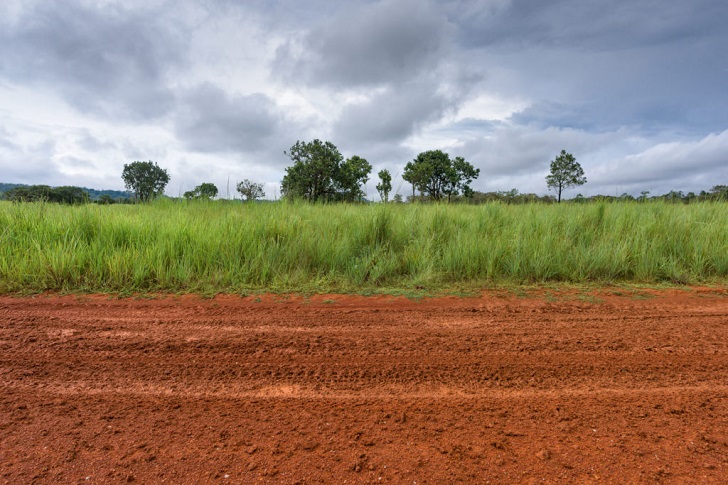 Melalui Omnibus Law, Tanah Telantar Bakal Diambil Negara untuk Bank Tanah