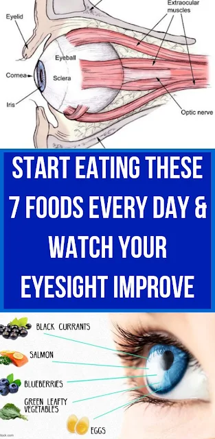 These 7 Foods Can Improve Eyesight