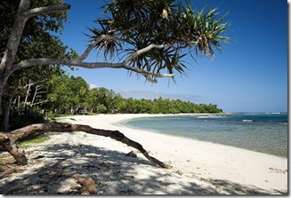 beach