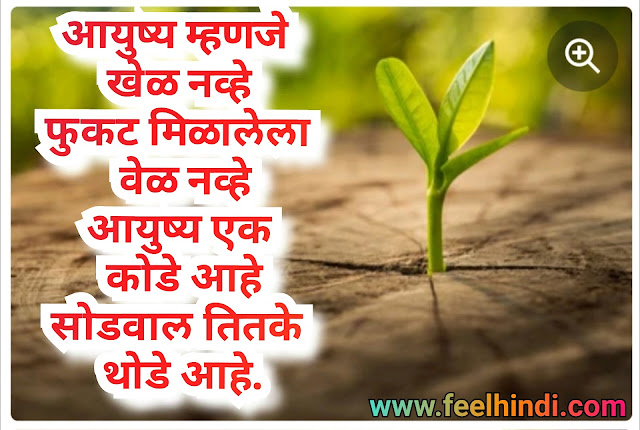 Life quotes in marathi | marathi status on life |