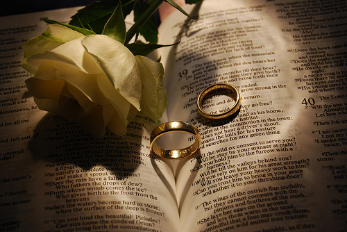 wedding rings on bible photo