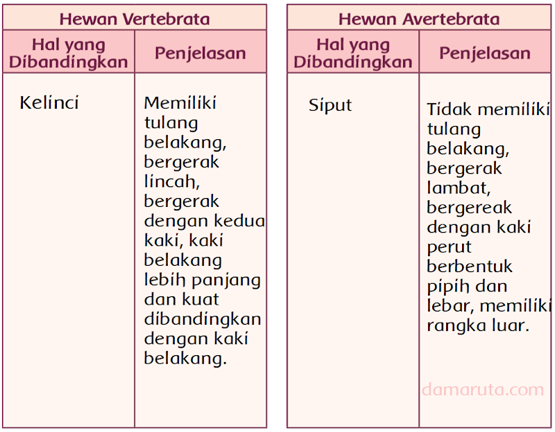 31+ Perbandingan Hewan Vertebrata Dan Hewan Avertebrata