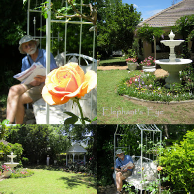 A garden two months old (with established shrubs)