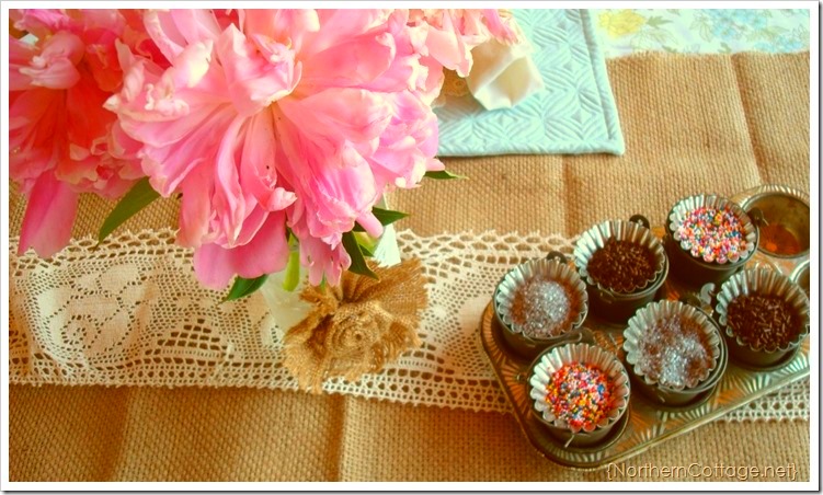 NorthernCOTTAGE-burlap-and-lace-on-t[1]