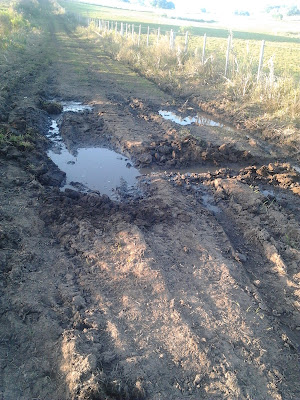 Estrada Rural de Pinheiro Machado: "Vergonha Total"