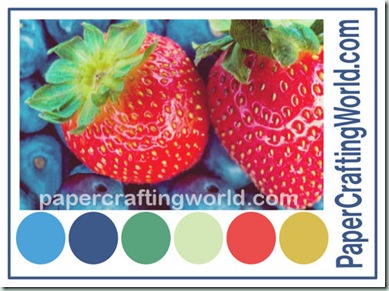 9-4 pcw color combo500