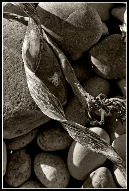 Nova Scotia; Hirtle's Beach