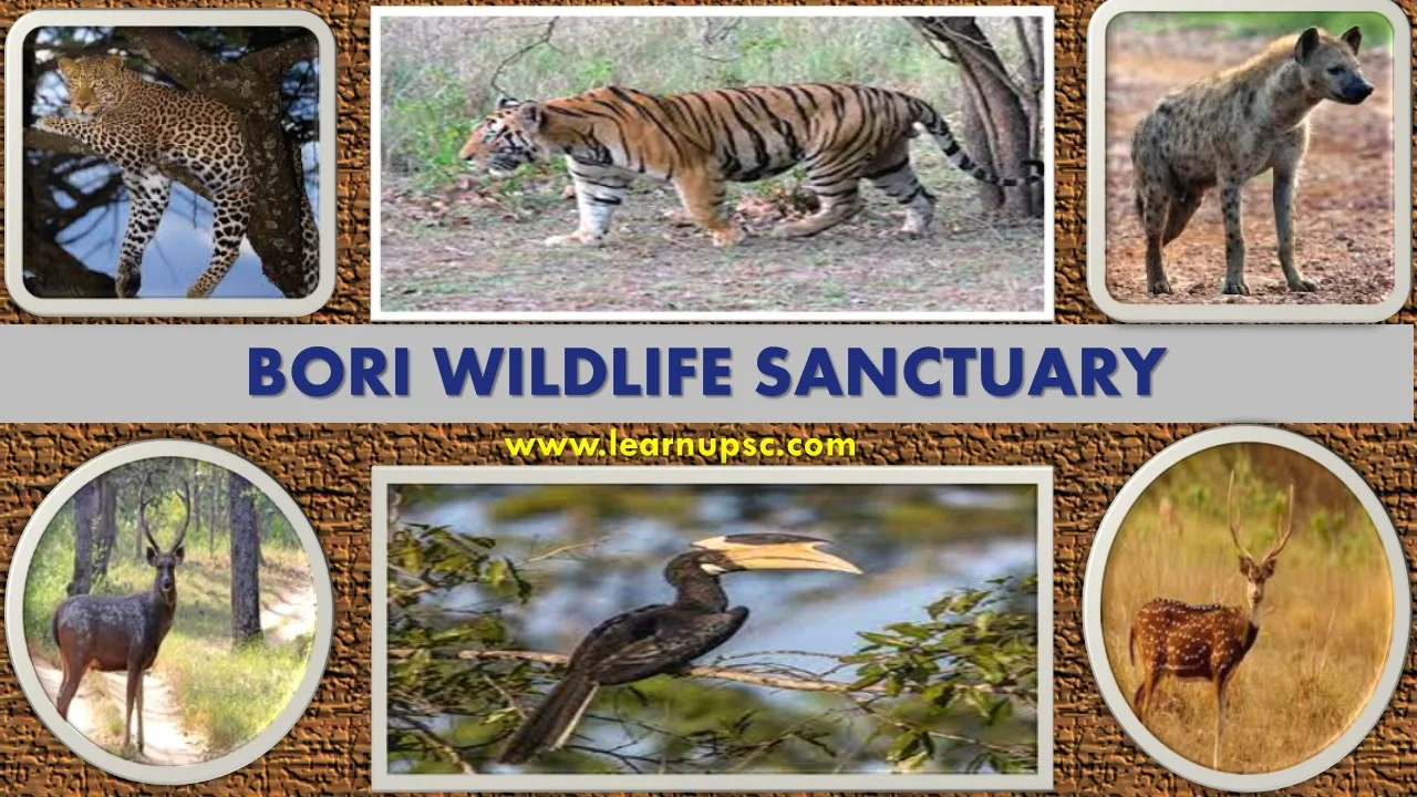 Bori Wildlife Sanctuary
