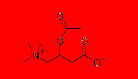 Acetylcarnitine