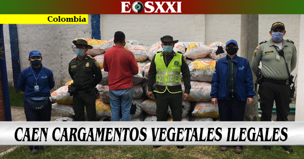 Decomisados cargamentos ilegales en Cundinamarca y Boyacá