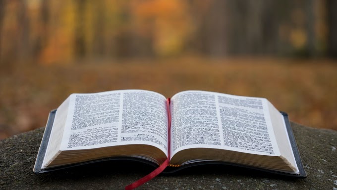 Aren't all scriptures essentially human creations?