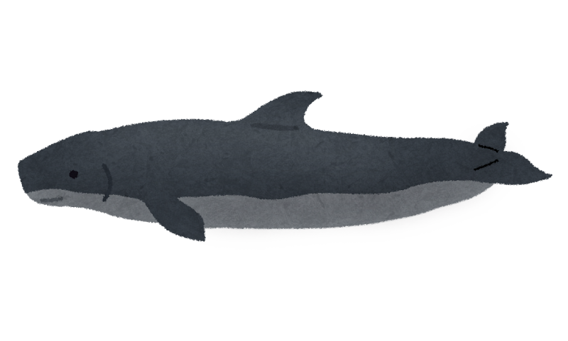 オガワマッコウのイラスト 鯨 かわいいフリー素材集 いらすとや