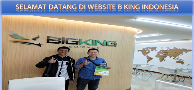 PROMOSI, 08123 01 8900 (Bpk. Alid), Brainking Plus Asli di Makassar