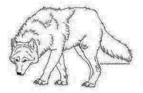 clip_image004