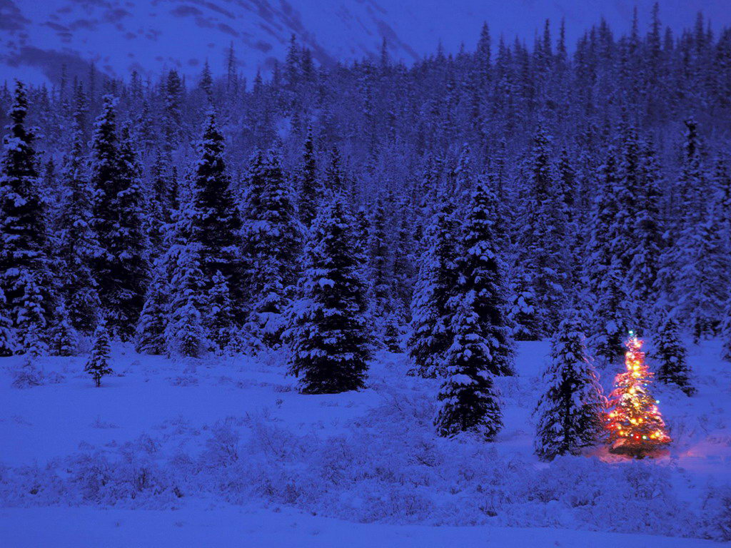 Free 3D Christmas Tree Wallpapers - Enjoy 3D Christmas Tree wallpapers for