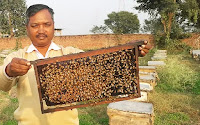 Shiv kUmar visiting hive