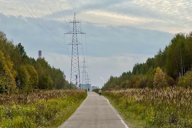 Лосиный остров, просека ЛЭП