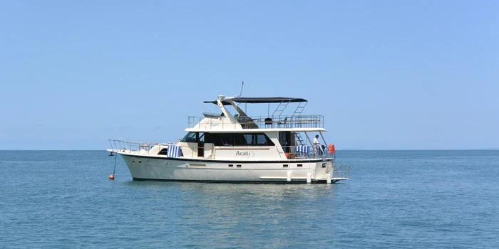 Qué visitar en Puerto Vallarta