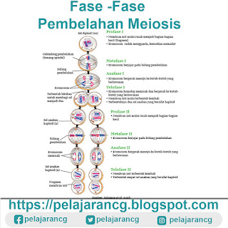 https://pelajarancg.blogspot.com/