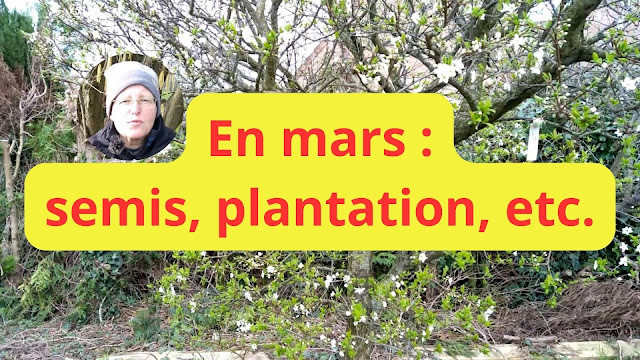 Mars jardin semis, plantation, (vidéo)