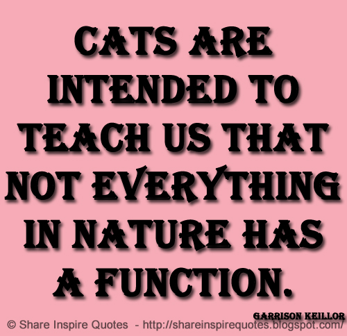 Cats are intended to teach us that not everything in nature has a function. ~Garrison Keillor