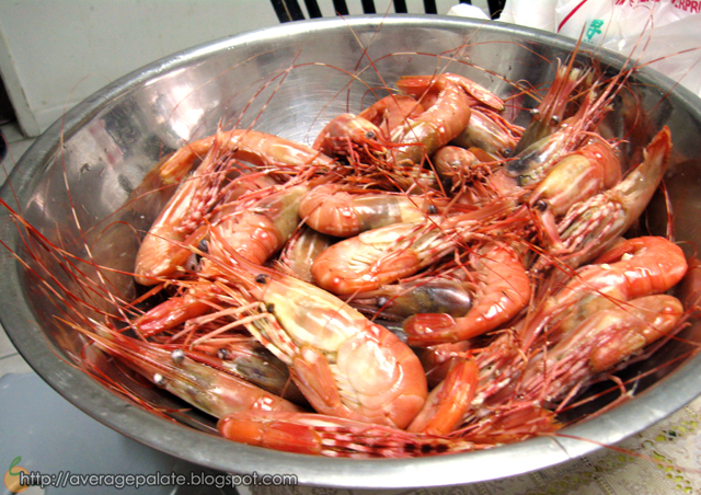 BC Spot Prawns