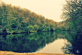 The beautiful and mysterious middle lake at National Trust Waggoners Wells