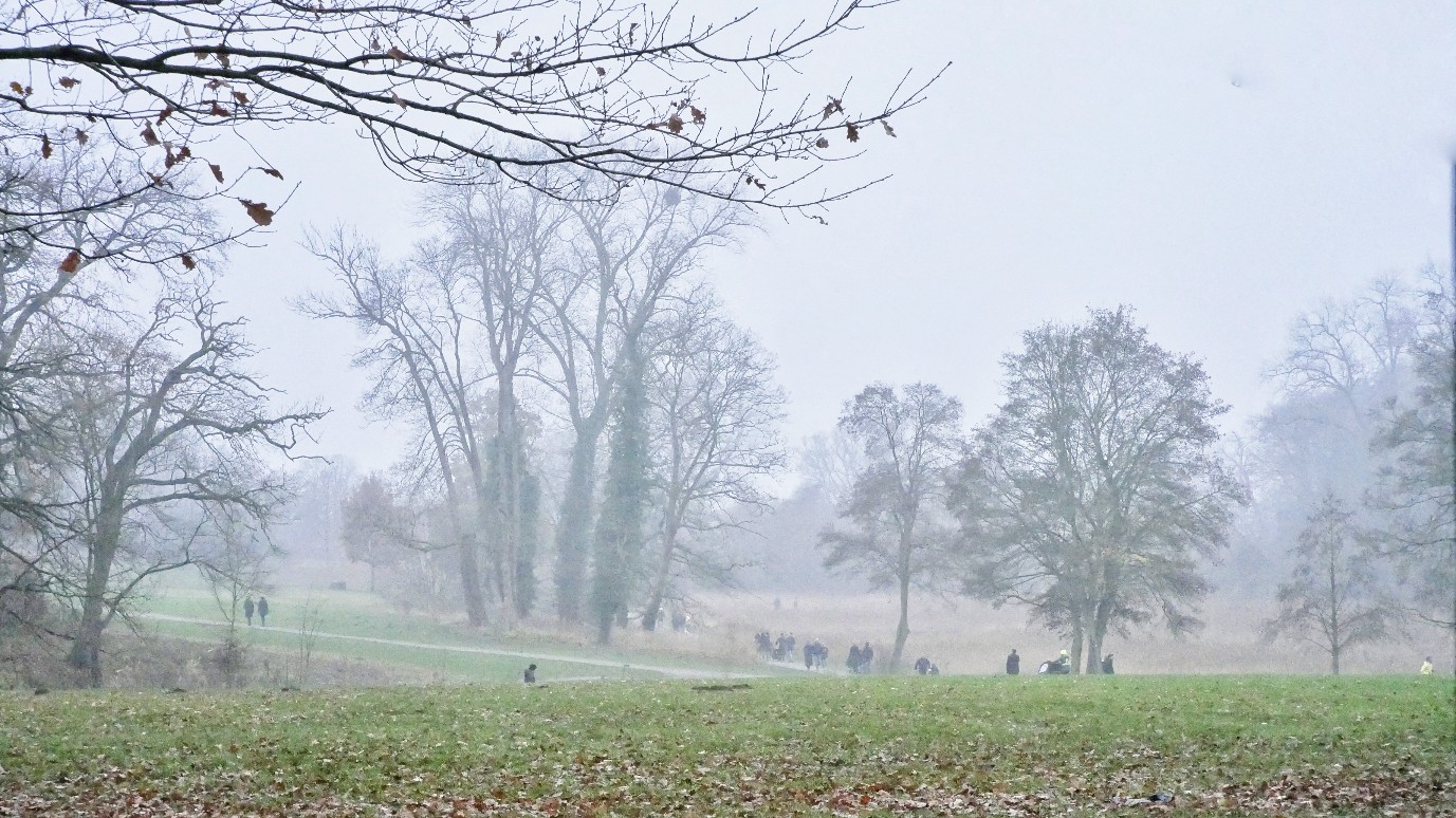 Nebel im Jenischpark